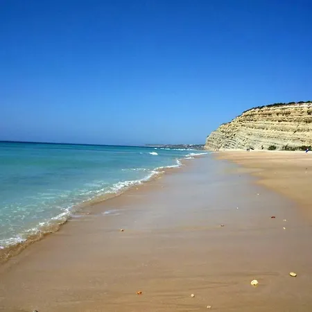 Magnoliamar 409 Daire