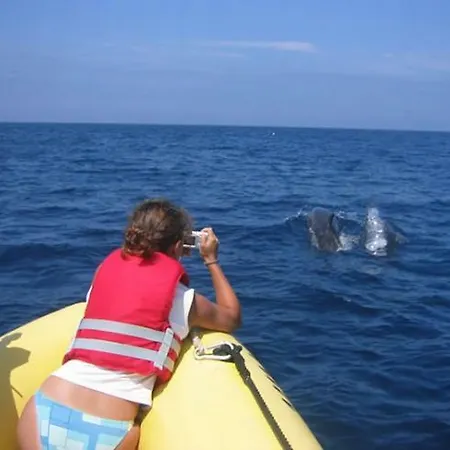 Daire Magnoliamar 409