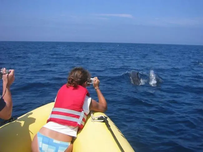 アパート Magnoliamar 409