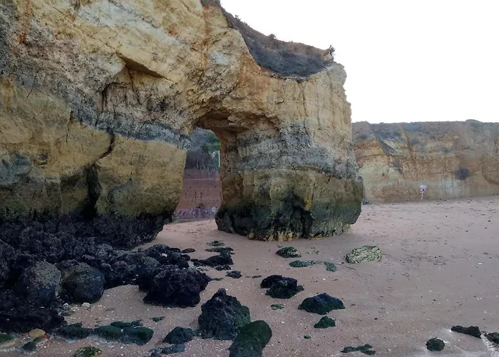 Magnoliamar 409 ラゴス