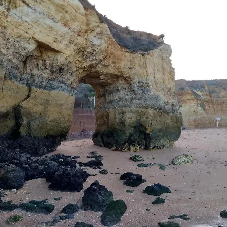 Magnoliamar 409 Lagos